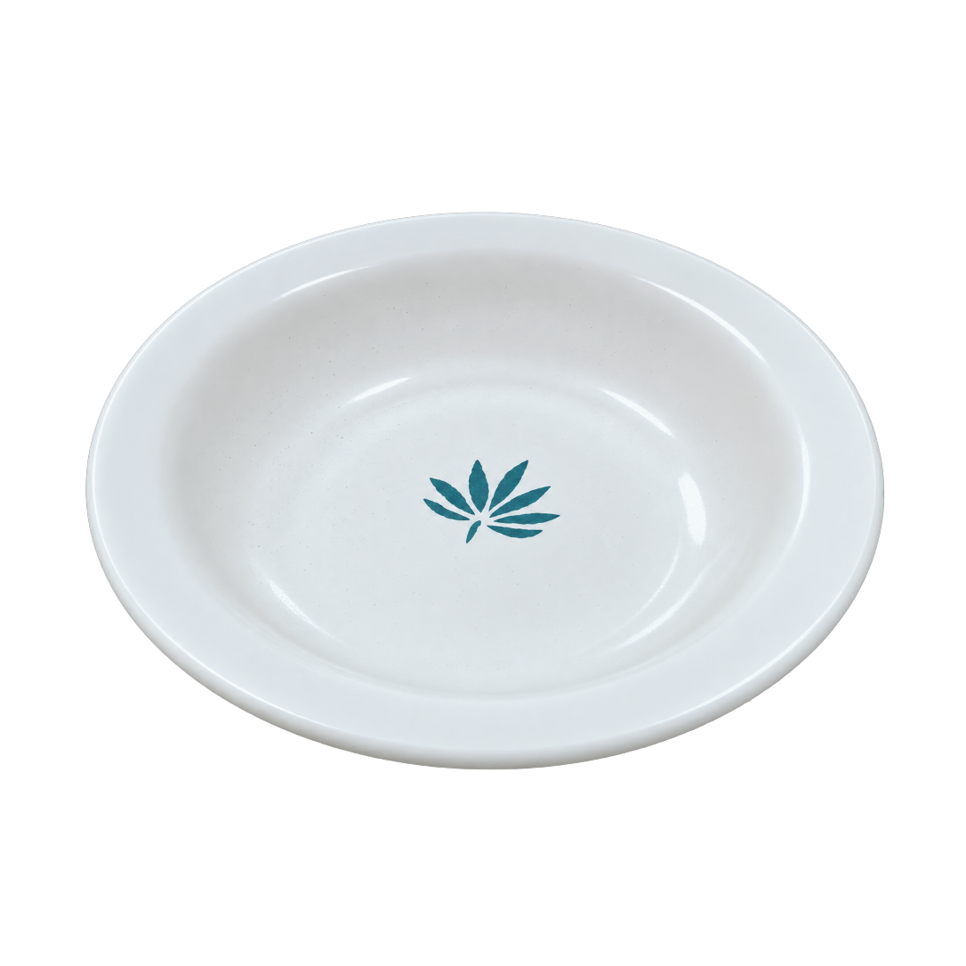 Pasta Plate